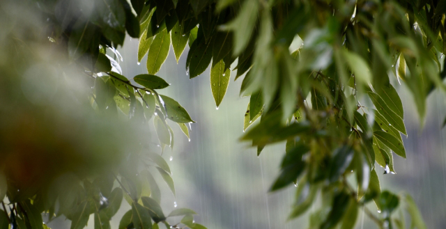 雨ふるアウトドア