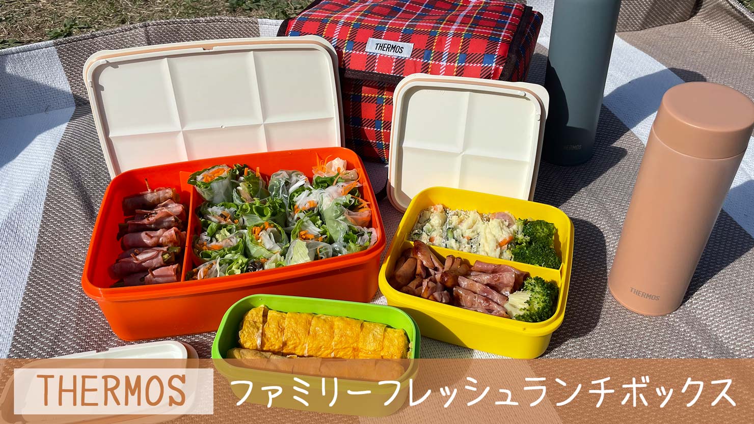 【食洗機対応】大容量のファミリー弁当箱｜運動会・ピクニックに！