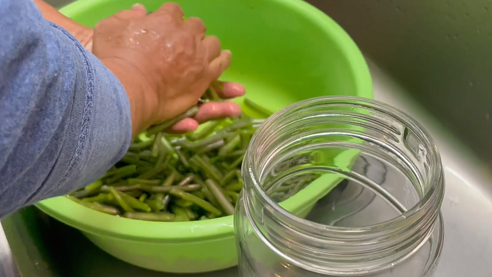 わさび茎を手でしぼる