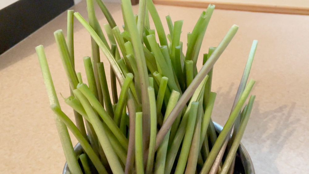 葉をとったわさび茎