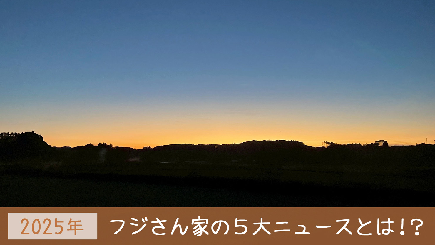 【明けました！】2026年の抱負・202５年の振り返り